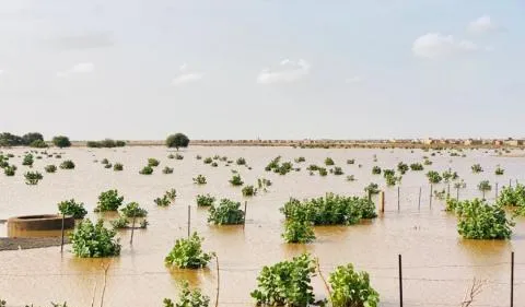 أمطار على قرى وتجمعات سكانية في ست ولايات