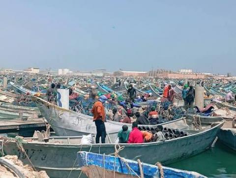 موريتانيا.. تراجع أداء قطاع الصيد 12% بسبب أزمة المحروقات